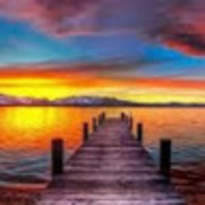 Meet your Posher, Ella